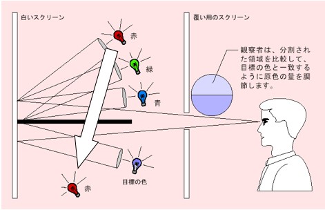 色彩値等色関数：人の目をものさしに
