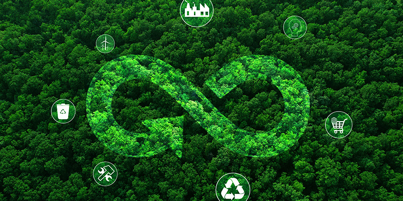 sustainable color evaluation