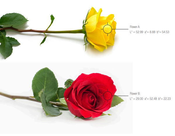 LAB Color Space, L*a*b* Color Space, Color Space, Color Values | X-Rite Color Blog