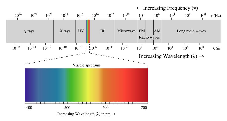 Image courtesy of Wikipedia.