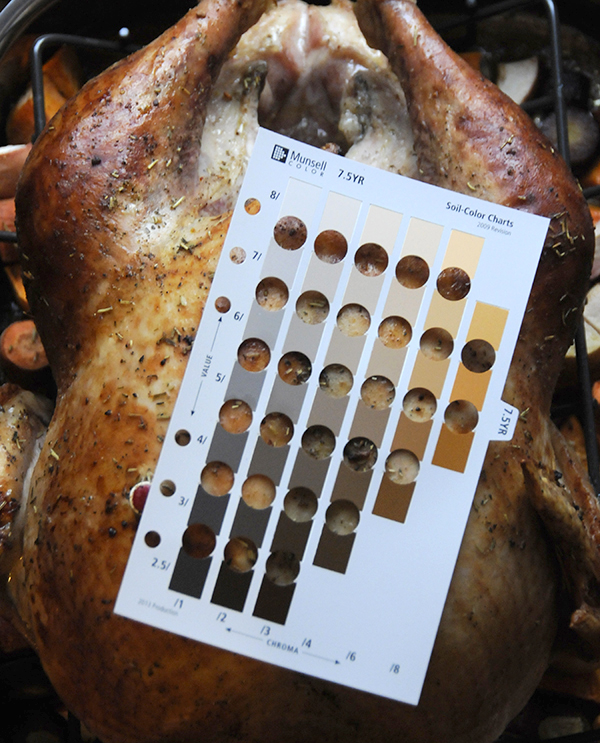 marrone dorato, marrone scuro, marrone chiaro, analisi del colore del tacchino, sistema di analisi del colore Munsell