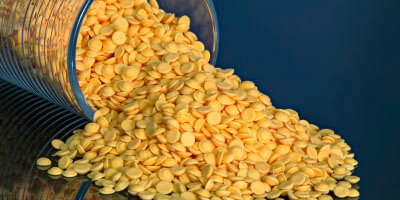 Plastic Masterbatcher | X-Rite Industry and Applications