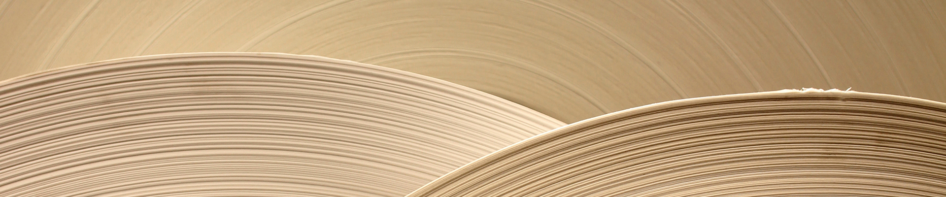 AustrianInlineSuccessStory