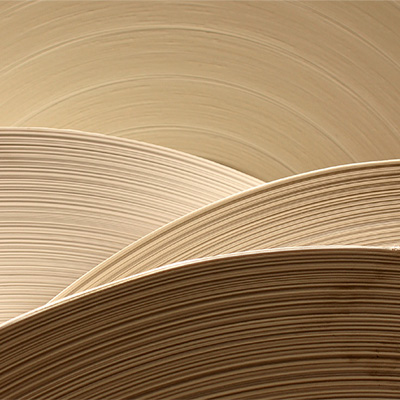 AustrianInlineSuccessStory