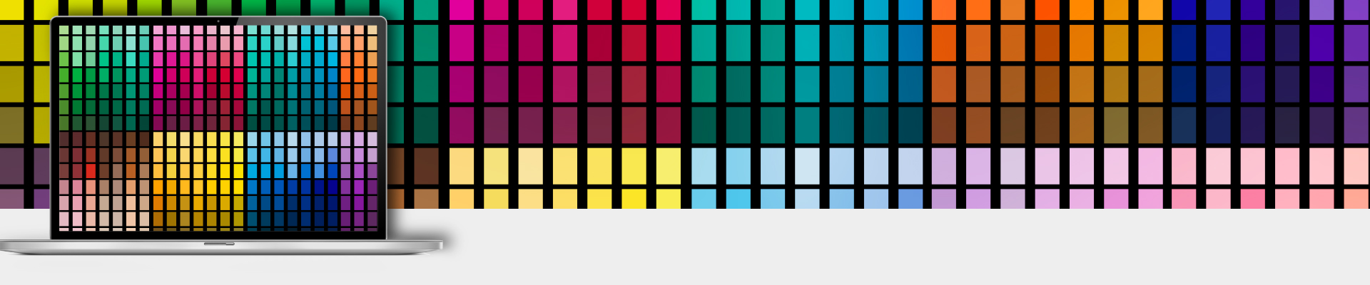 Display-Color-Services