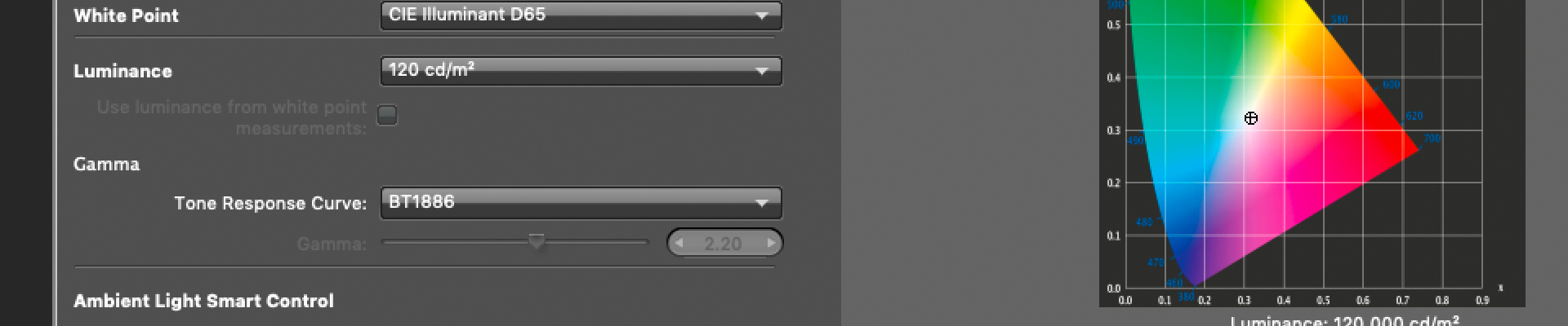 Display Software Solutions