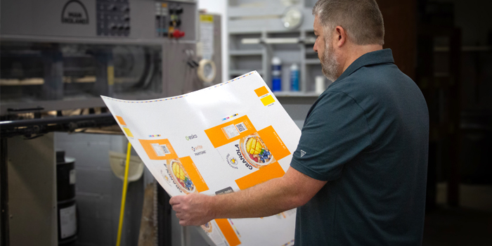 Connect & Collaborate with Color Experts Media