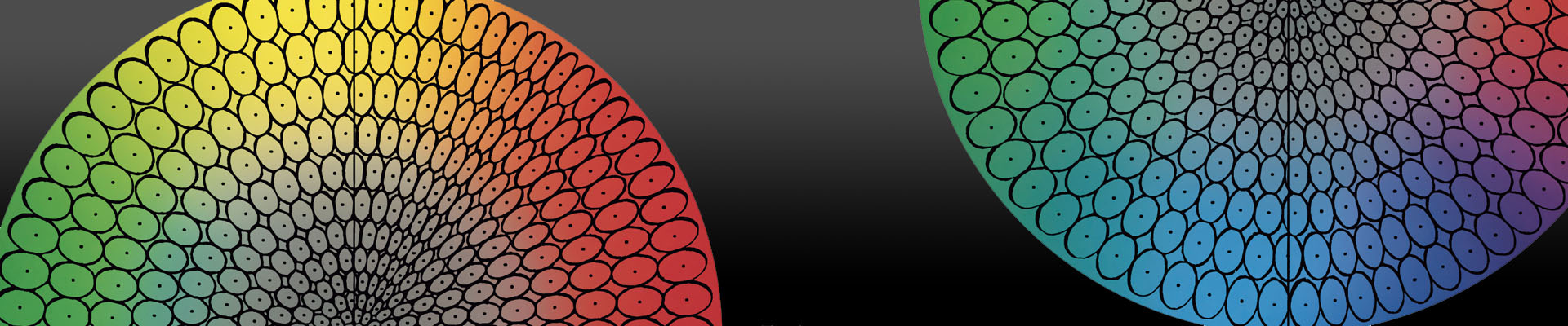 X-Rite Tolerancing Webinar | X-Rite On-Demand Webinars