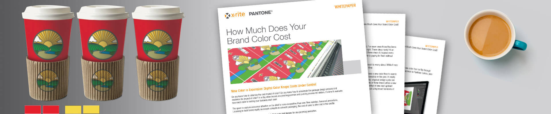 Cost of a Brand Color X-Rite Whitepaper